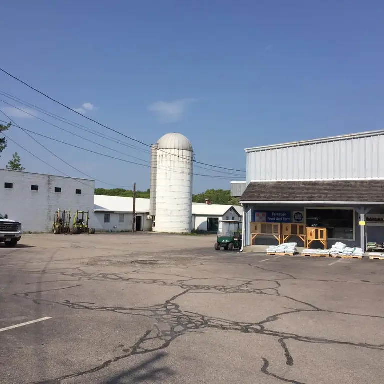 Wide range of products from wood pellets Wide range of products from wood pellets