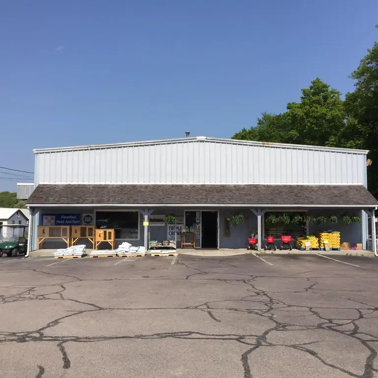 Wide range of products from wood pellets Wide range of products from wood pellets